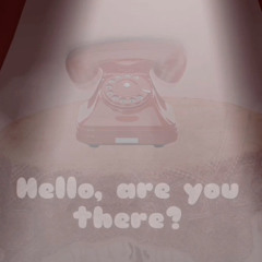Hello, are you there?