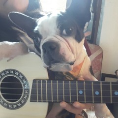 is it safe to say it? (original) 03/17/20 DEMO