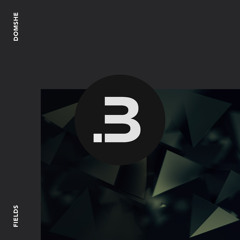 BML303 : Domshe - Fields (Original Mix)