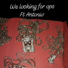 We looking for ops