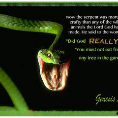 DEMON TALK: THE SERPENT SAYS "DID NOT GOD SAY??"