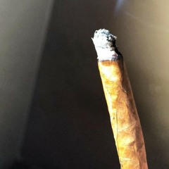 IAMSTUSSY × ANTI_SUBJECT - SMOKIN OG