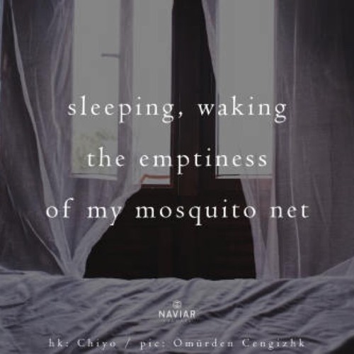 naviarhaiku324: sleeping, waking