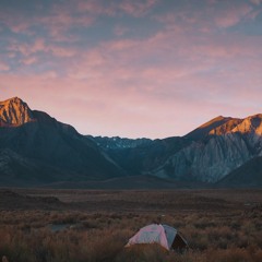 FoxGarden // Shinrin-Yoku