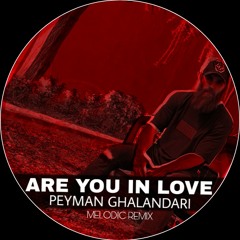 PeymanGhalandari - Are You In Love (Melodic Remix).mp3