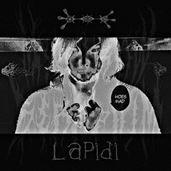 ✙⚰️𝙻 𝚊 𝚙 𝚒 𝚍 𝚒⚰️✙