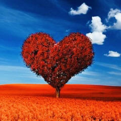 4 Real Jbo The Labo FT Bello2foreign