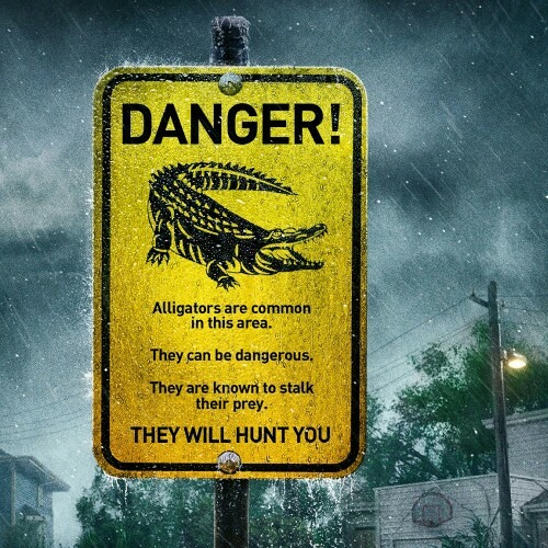 Jimbo World - My Grind (FAST)