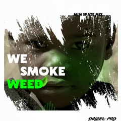 Drizel pro - we smoke weed (Hotkid ozana cover) m.m by spazemix