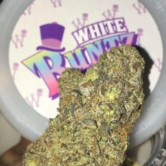ShadLocEscobar-White Runtz(Prod By ShadLocEscobar)