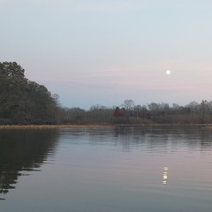 Greyhound (original)