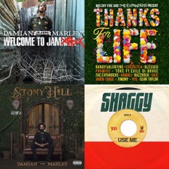 Reagea rasta 👑💚