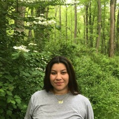 Affirmations for a guerrera