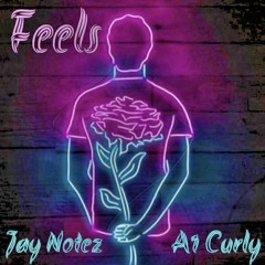 JayNotez ft. a1curly - FEELS
