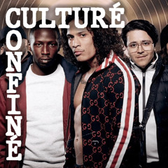 Culturé & Confiné - La série "Validé"