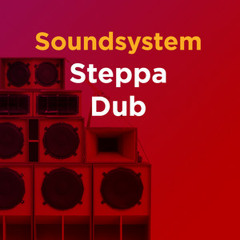Soundsystem Steppa Dub