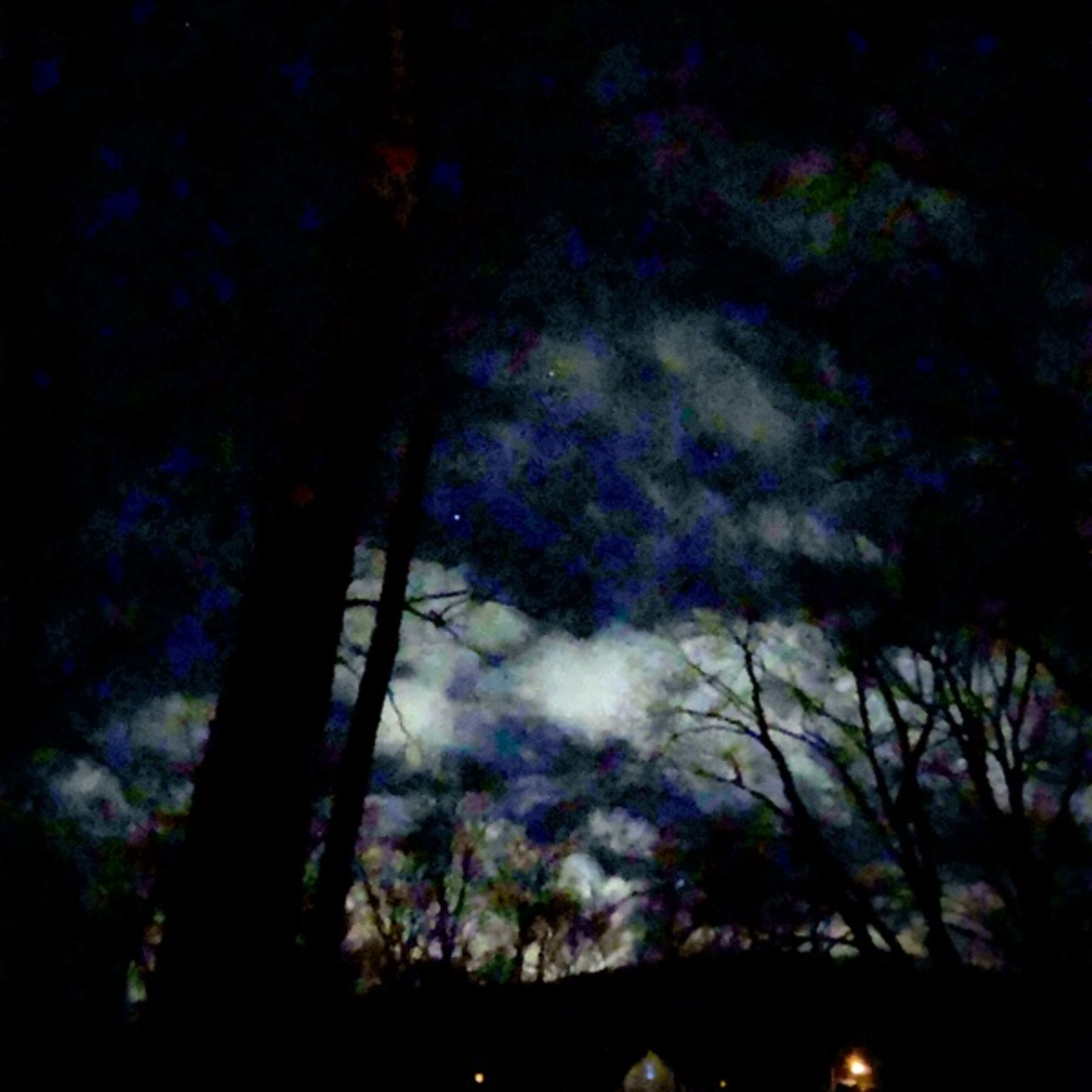 Songs from the Wood Between the Worlds