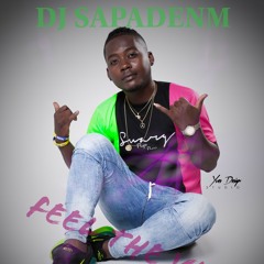 DJ sapadenm mixtape feel the vibe