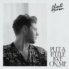 Niall Horan - Put A Little Love on Me (Cover)