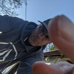 Forest Scream (Freestyle)