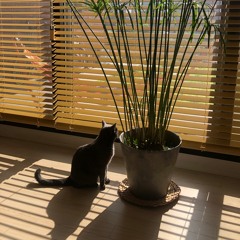 행복의 나라로 (탐이에게)