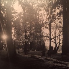 That dream was too vivid