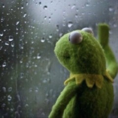 Respect the drip, Karen.