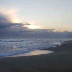 The Girl from Ipanema
