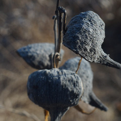 guitar flute bass and drum