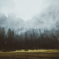 Lazarus Moment // Lonely Trees