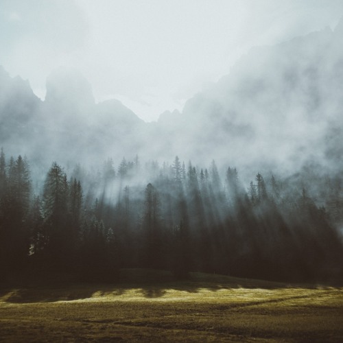 Lazarus Moment // Lonely Trees