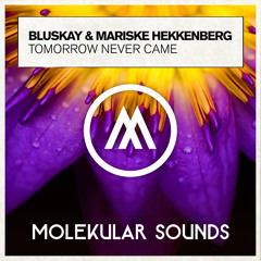 Bluskay & Mariske Hekkenberg - Tomorrow Never Came