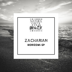 Zacharian - Velocity (Original Mix)