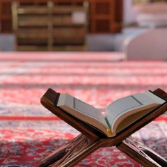 سورة الأحقاف  للقارئ #إسلام صبحي