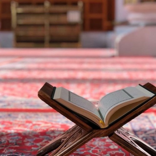 سورة الأحقاف  للقارئ #إسلام صبحي