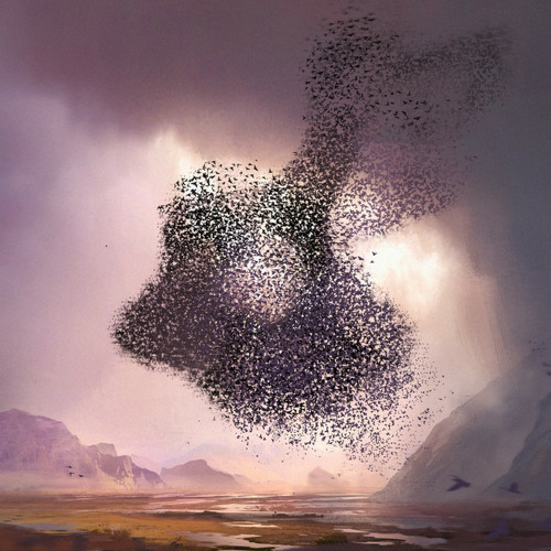 Michael Dunstan – In the Grand Scheme