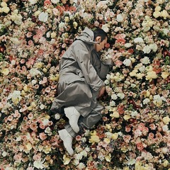 꽃 (flower)
