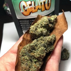 gelato nark ft sera.mp3