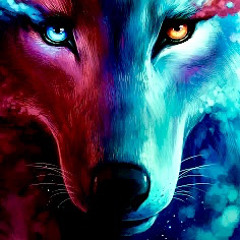 Night Wolf