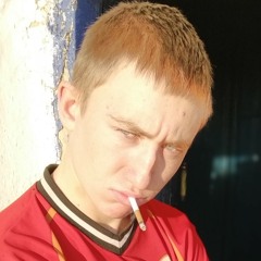 Жизнь Воцыка