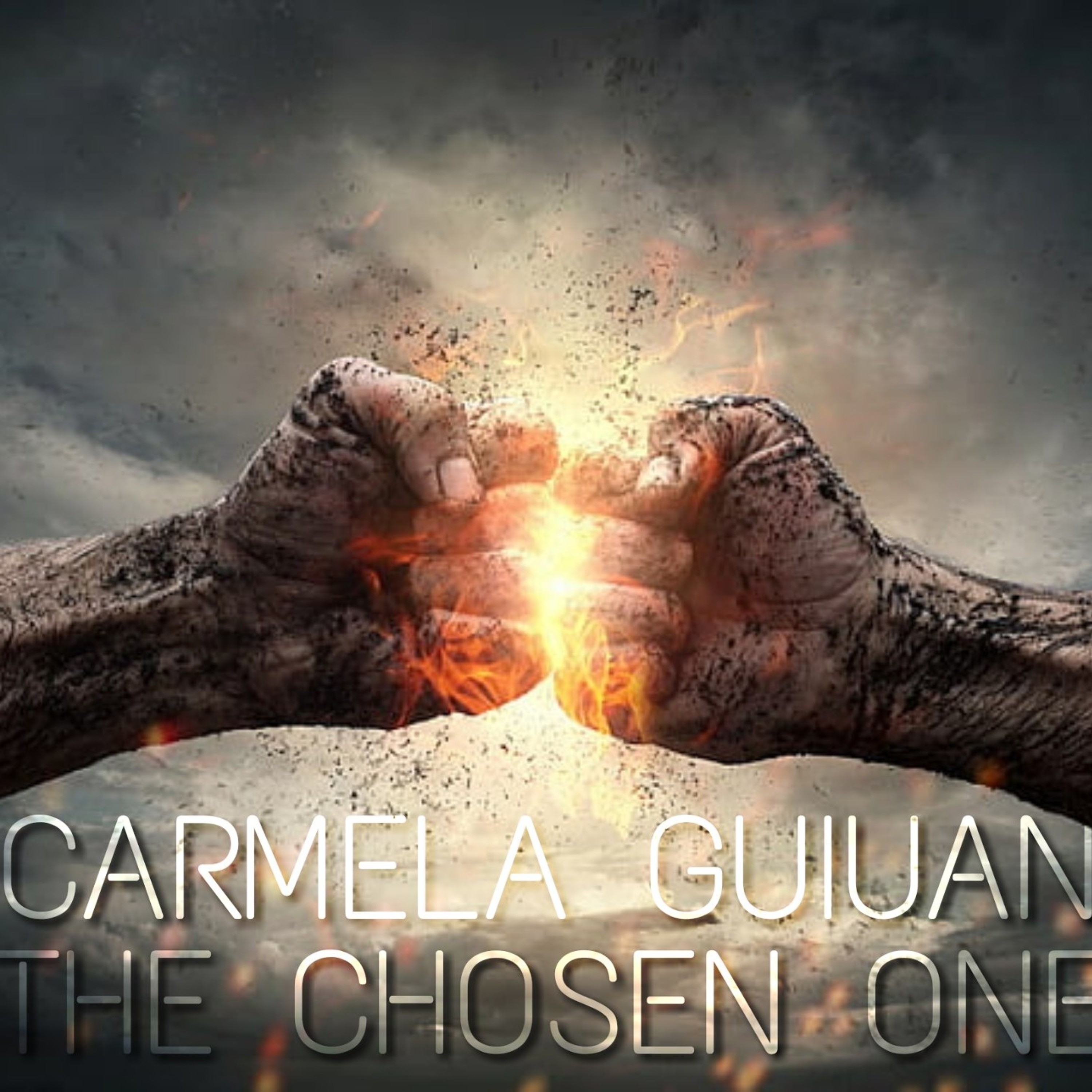 Track cover