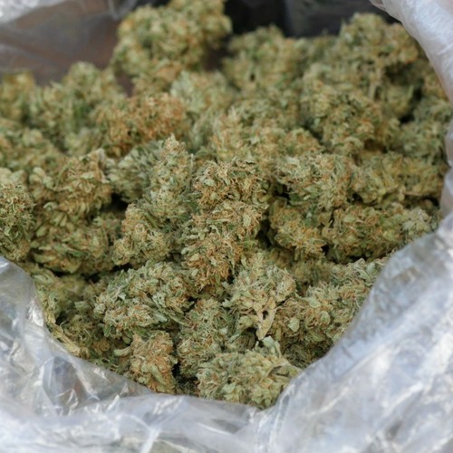 Mr_faded653 - ocean floor.m4a