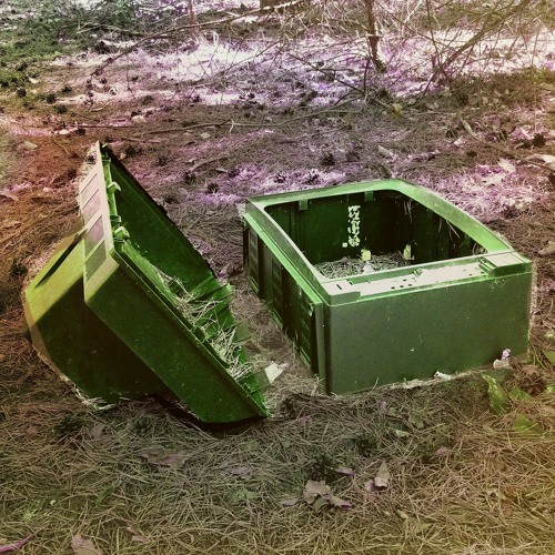 Quarantine summertime