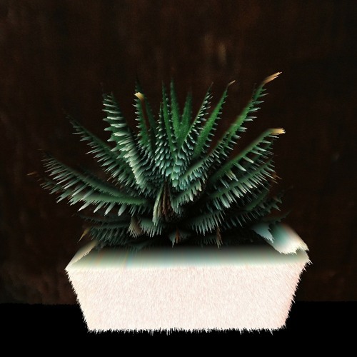 chamber of reflection - Mac Demarco (brendan and dylan instrumental cover).mp3