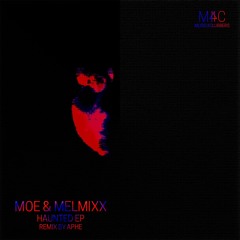 Moe & Melmixx - Shaman Flow