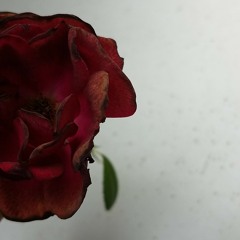 Love and the Drugs (freestyle) - ToDeep // prod. BiHi