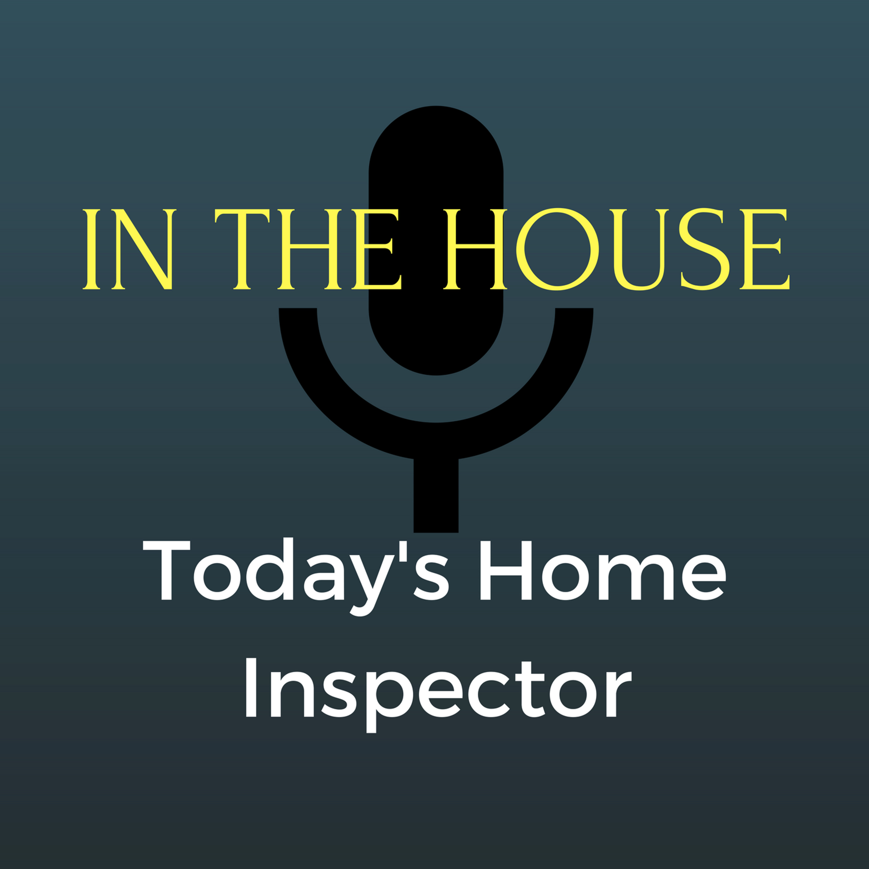 Today\'s Home Inspector - In The House