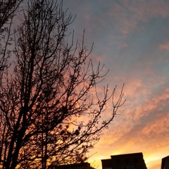 Been Through lately freestyle