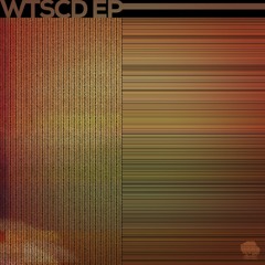 Softpaw - Fool (Original Mix)