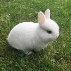 One world and one life